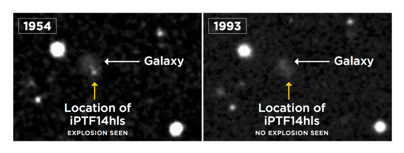 Image: POSS/DSS/LCO/S. Wilkinson.